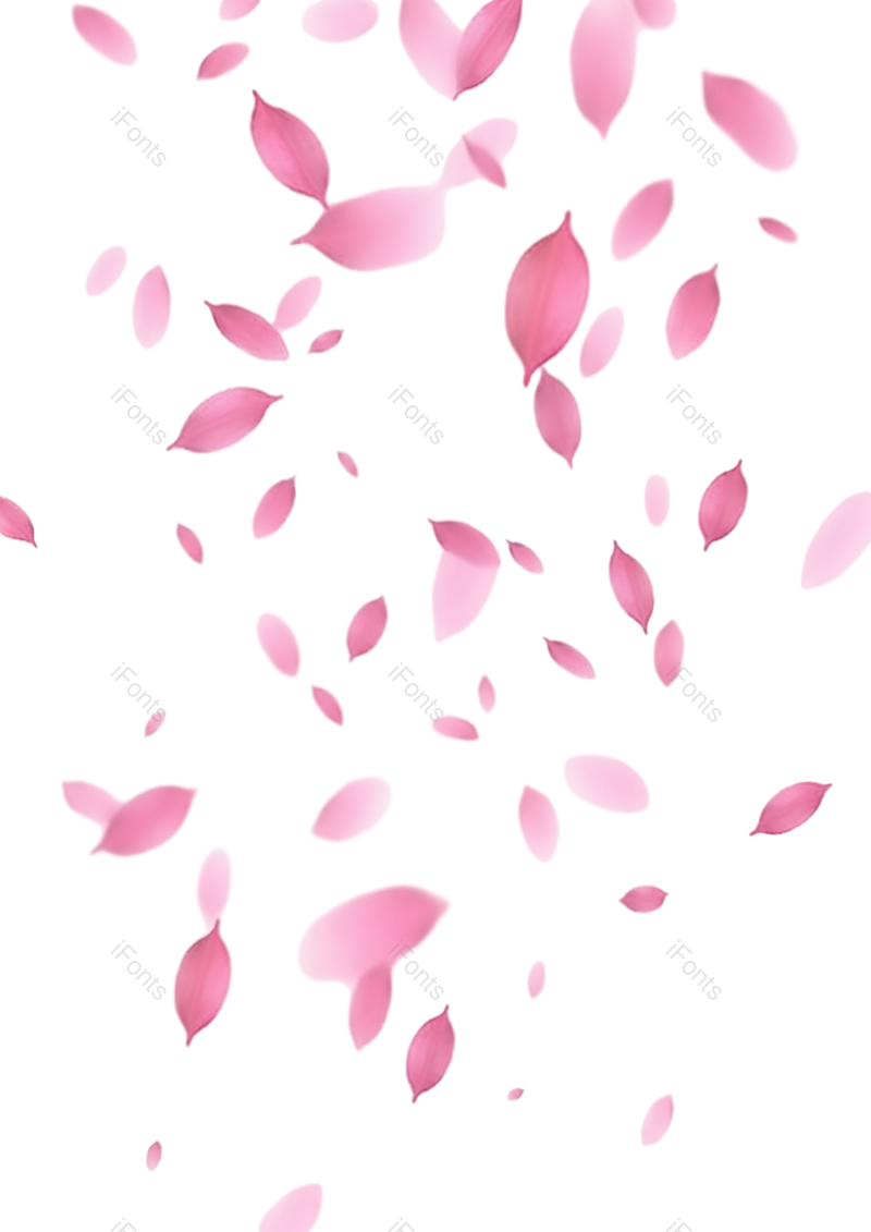 元素图片,插画元素,白色背景PNG,花瓣免抠素材